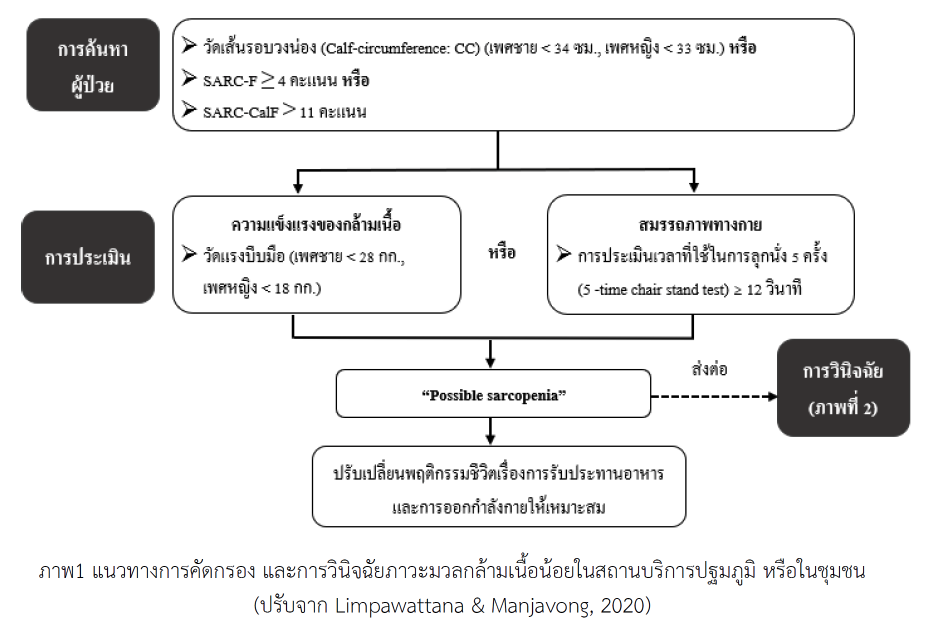 screening sarcopenia